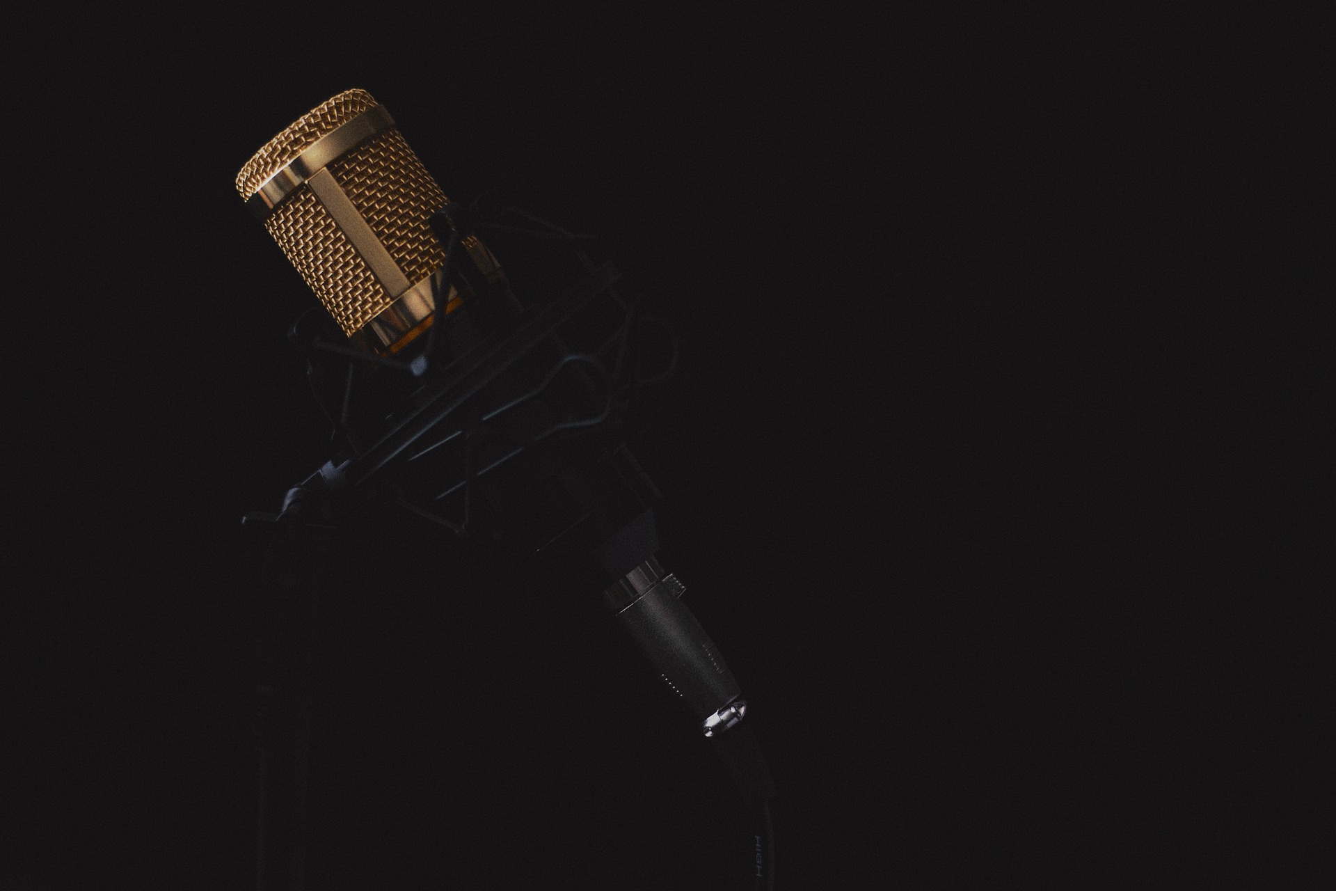 Gold colored microphone in stand.